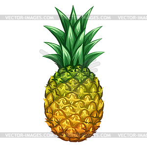 Stylized pineapple. Image for design or decoration - vector clipart / vector image