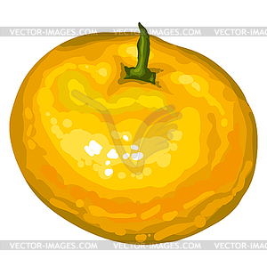 Stylized mandarin. Image for design or decoration - vector image