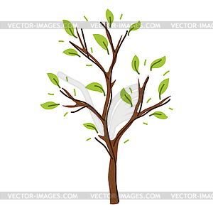 Весна или лето стилизованное дерево с зелеными листьями - изображение в векторном виде