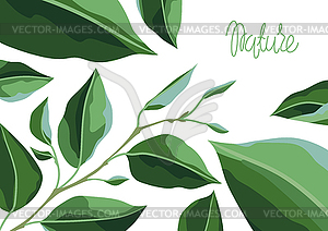 Card or background with branches and green leaves. - vector clipart