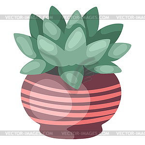 Stylized succulent in pot. Image for design or - vector image