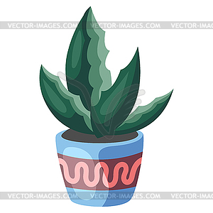 Stylized succulent in pot. Image for design or - vector clipart