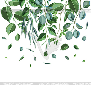 Card or background with branches and green leaves. - vector clipart