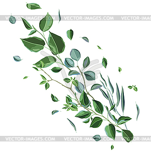 Card or background with branches and green leaves. - vector image