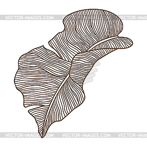 Stylized palm leaf. Decorative tropical foliage - vector clip art