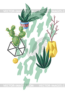 Background with cactuses and succulents. - vector clipart