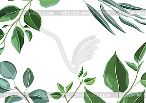 Card or background with branches and green leaves. - vector image