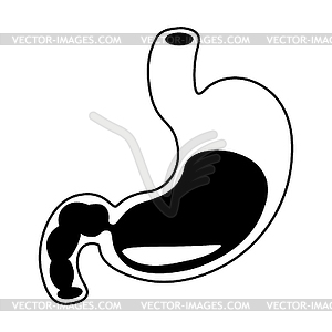 Stomach internal organ. Human body anatomy. Health - vector clipart