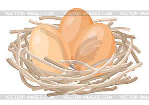 Brown chicken eggs in nest. Image for food and - vector clipart