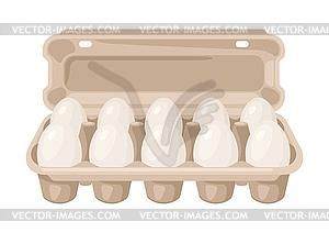 Brown chicken eggs in carton pack. Image for food - vector image