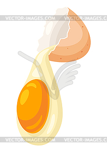 Broken chicken eggshell and liquid egg. Image for - vector image