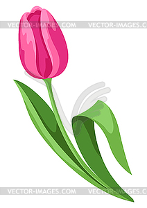 Tulip flower. Beautiful decorative spring plant - vector clipart