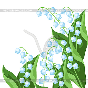 Background with lilies of valley flowers. - vector clipart