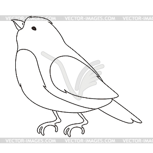 Stylized bird. wild birdie in linear style - vector clipart