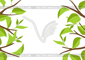 Background with branches and green leaves. Spring o - vector clip art