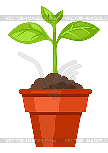 Sprout in pot. Indoor or garden plant - vector image