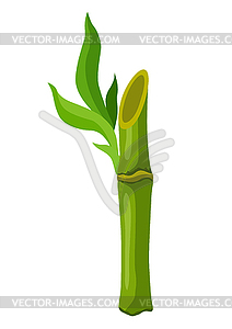 Green bamboo stem and leaves. Decorative exotic - vector EPS clipart