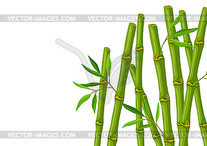 Background with green bamboo stems and leaves. - vector image