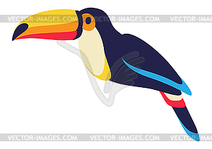 Toucan. Tropical exotic decorative bird - vector clipart