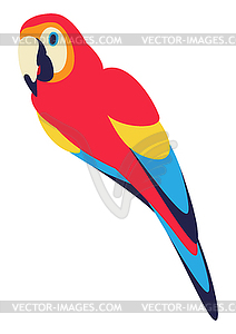 Macaw parrot. Tropical exotic decorative bird - vector clipart / vector image