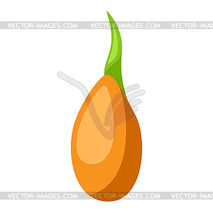 Sprouting seed plant. Gardening or agricultural - royalty-free vector clipart