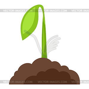 Sprout plant growing in ground. Gardening or - vector image