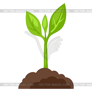 Sprout plant growing in ground. Gardening or - vector clipart