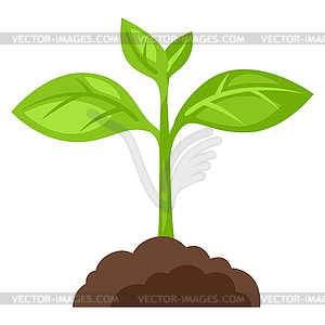 Sprout plant growing in ground. Gardening or - vector image