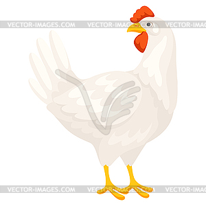 White chicken. Images for food and agricultural - royalty-free vector clipart