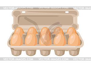 Brown chicken eggs in carton pack. Image for food - vector clip art