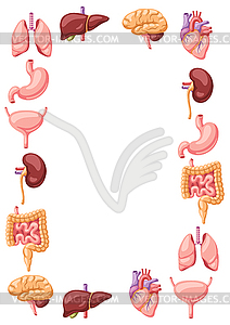 Frame with internal organs. Human body anatomy. - vector image