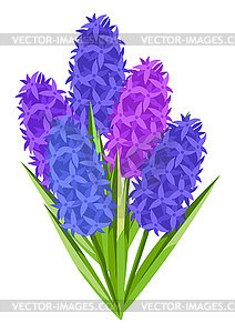 Background with hyacinths flowers. Beautiful - vector clipart