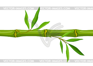 Seamless pattern with green bamboo stem and - vector clipart