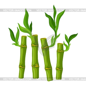 Green bamboo stems and leaves. Decorative exotic - vector EPS clipart