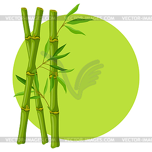 Background with green bamboo stems and leaves. - vector clipart