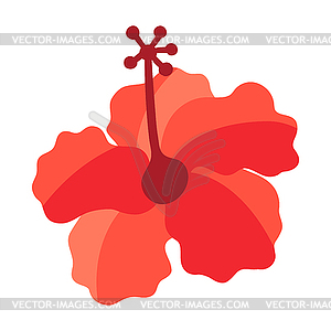 Цветок гибискуса. Летний образ на праздник или - векторный клипарт Royalty-Free