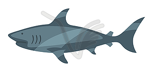 Stylized shark. Marine fauna and wildlife - vector clip art