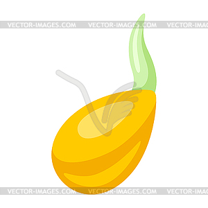 Sprouted seed for sowing. Agricultural planting  - vector clipart / vector image