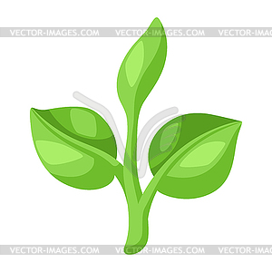 Young green sprout with leaves. Agricultural - vector clip art