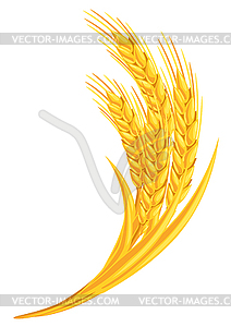 Wheat bunch. Agricultural image golden ears of - color vector clipart