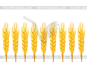 Фон с пшеницей. Золотой сельскохозяйственный образ - векторное изображение