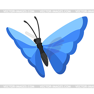 Decorative butterfly. Color abstract insect - vector clip art