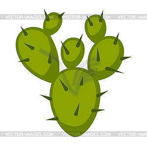 Cactus. Decorative spiky mexican cacti - vector clipart