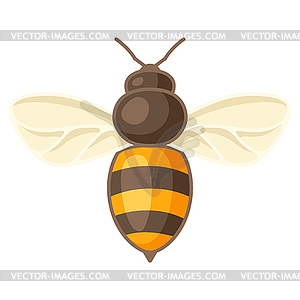 Honey bee. Image for food and agricultural industry - vector clipart