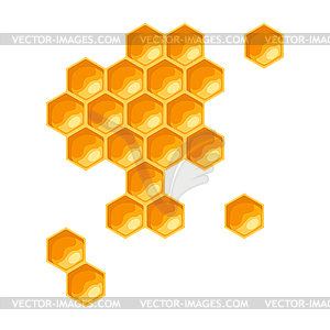 Honeycombs. Image for food and agricultural industry - vector image