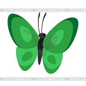 Decorative butterfly. Color abstract insect - vector clipart