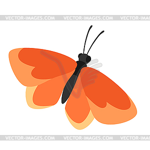 Decorative butterfly. Color abstract insect - vector clipart