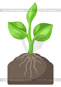 Young green sprout in ground. Agricultural planting  - vector image