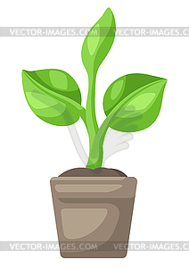 Sprouted seedling in pot. Agricultural planting  - vector clipart