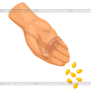 Hand plants seeds or grains. Agricultural planting  - vector image